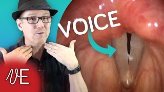 Learn how VOCAL CORDS work for Speech and Singing | #DrDan 🎤