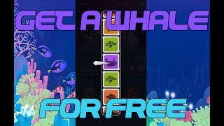 Pirate Event 2018 All Fish Hidden Tap Tap Fish Abyssrium Pirateship Whale Abyssal Kraken