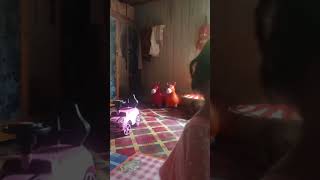 Jawaban terakhir bikin ngakak🤣🤣🤣 #cutebaby #viralvideo #funny #cute #fyp