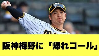 【やばすぎ】阪神・梅野にファンから「帰れ」コールが起こり大変なことに・・・【2ちゃんねる反応集】【プロ野球反応まとめ】【阪神タイガース】