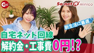 【So-net 光 minico】安くて快適なおすすめ光回線を紹介！契約期間なしで解約金不要【えっちゃんmotomi】