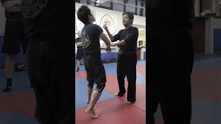 Wing Chun Chi Sao | Sifu Francis Fong