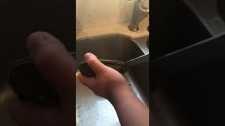 How to clean surf clam 清理贵妃蚌- by dragon baby seafood Danny