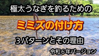 ミミズの付け方　現在思う最強パターンです(^^)　説明欄補足あり　#うなぎ #ミミズの付け方#うなぎ釣り