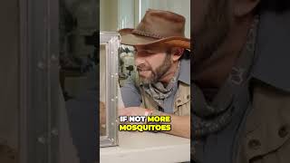 Man gets bitten by 1000 mosquitoes