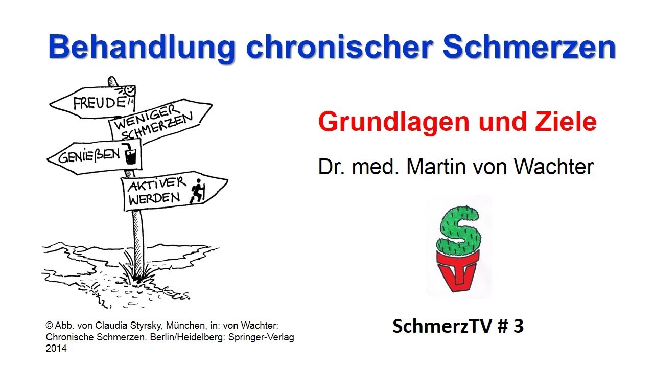 Behandlung Chronischer Schmerzen - Grundlagen Und Ziele - YouTube