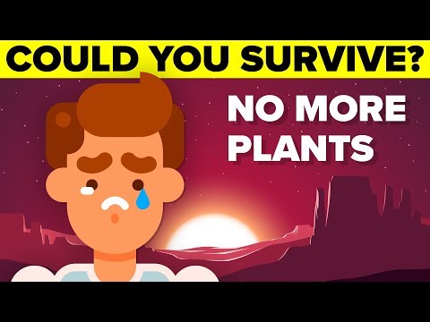 What would happen to life on Earth if all the plants died?