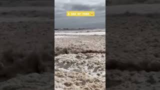 See Foam 🔥Most viral video on tiktok #Shorts #SHVS #sea #foam #ocean #foryou #foryoupage