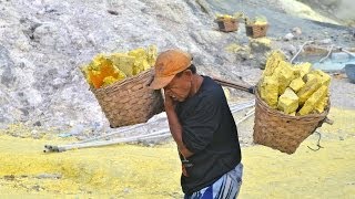 Sulfur Miners Story Traditional In Mount Ijen , East Java , Indonesia