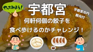 【宇都宮】宇都宮餃子食べ歩き（食べログ高評価店の餃子を何軒何個食べ歩けるのか？チャレンジ）