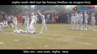 তেঁতুলিয়া সরকারি পাইলট মডেল উচ্চ বিদ্যালয়ের শিক্ষার্থীদের করা মনোমুগ্ধকর ডিসপ্লে