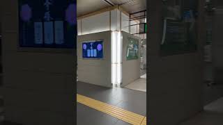 新潟駅改札口　Niigata station ticket gate