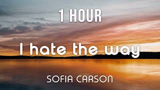 [1 HOUR LOOP] Sofia Carson - I Hate The Way