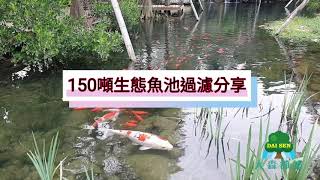 ＃新社150噸生態魚池過濾#景觀池過濾#魚池過濾#地下水過濾#養殖過濾#高密度養殖#免換濾材