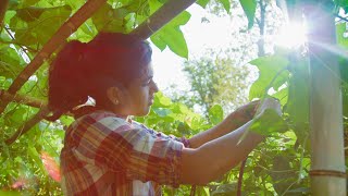 This UVA Student Spent Her Summer Working for Food Justice