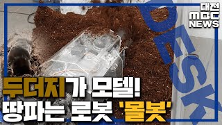 '땅파기 천재' 두더지, '굴착 로봇' 변신/대전MBC