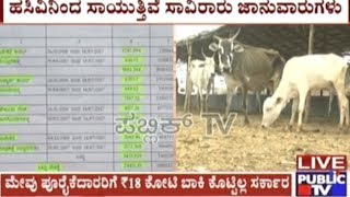 Chitradurga: Cattle Suffer In Hunger Due To Govt's Disinterest In Sanctioning Fodder Payments