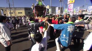 平成27年 茅ヶ崎  鳥井戸 御霊神社 例大祭 本社神輿渡御。