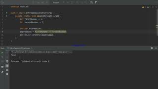 Java Introduction to Decision Structures