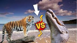What you didn't know about animals who messed with opponents by mistake!!