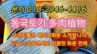 #동국토기#多肉植物 #가성비 좋은 베트남화분 소개#고급스러우면서도 저렴한화분