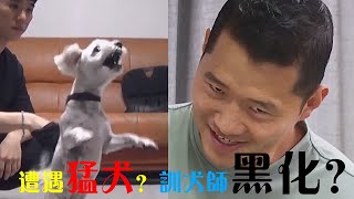 訓犬師遭遇心機狗，如果不是當場揭穿它的面目，狗主人還被耍的團團轉