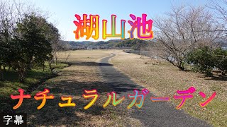 萌芽の候 3月6日 月曜 晴れ 湖畔のウォーキング 湖山池ナチュラルガーデン 日本 鳥取県鳥取市金沢 レーク大樹 @WalkingYoshi