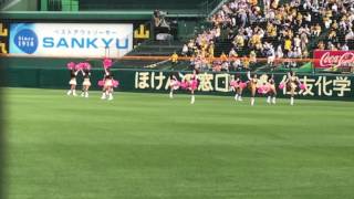 阪神甲子園球場チアガール