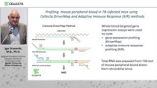 Blood Immune Receptor Repertoire and Transcriptome Profiling in a Murine Tuberculosis Model