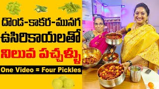 నాలుగు పచ్చళ్ళు ఒక్క వీడియోలో పెట్టేయండి ....  రుచి నెక్స్ట్ లెవెల్ అసలు!! 👌 Sailaws Kitchen