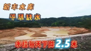 广东盼能下暴雨，水库干涸缺水，因县城用水使水位每天降低2.5米