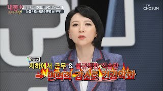 눈물 나는 통증 ㅠㅠ 대상포진, 이유는 비타민D 부족↓ [내 몸 플러스] 187회 20200308