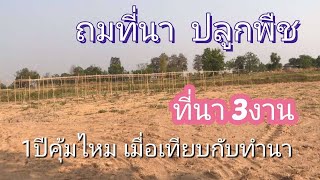 ถมที่นา3งาน ทำเกษตร ผ่านไป1ปี ได้ผลอย่างไรเมื่อแทียบกับทำนา