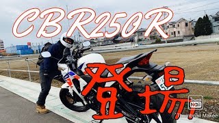 【バイク女子】＃130 初心者 CBR250R MC41 登場 Ninja400 ZX-14R