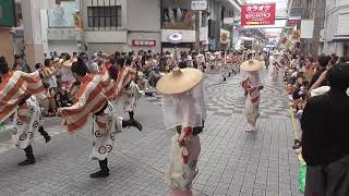 【2023年高知　第70回よさこい祭り】　8.11　『高知信用金庫』　／　 Yosakoi Festival in Kochi 2023, Japan