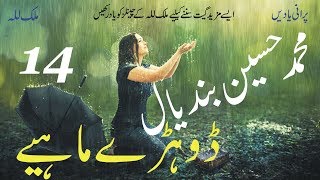 Dohray Mahiay 14 | Muhammad Hussain Bandial | Best Punjabi Saraiki Original Audio Song