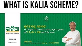 Krushak Assistance for Livelihood and Income Augmentation, Is KALIA ideal for Odisha's Farmers?