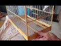 how to make a bird cage