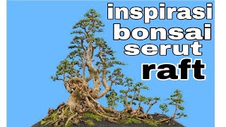 inspirasi bonsai raft || semoga menginspirasi