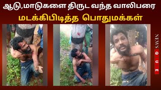 DINDIGUL | ஆடு,மாடுகளை திருட வந்த வாலிபரை மடக்கிபிடித்த  பொதுமக்கள்