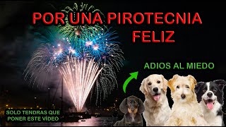 Cane //🐶Sonido/Ruido de PETARDOS para DESENSIBILIZAR a perros🌈. [PIROTECNIA] ✅ AYUDALO. Adiós miedo.