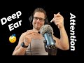 ASMR Deep Ear Attention / Brushing