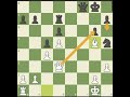 gm veselin topalov king activity in the endgame