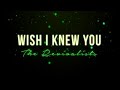 The Revivalists - Wish I Knew You (full tilt mix)