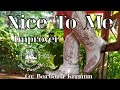 Nice To Me Line Dance Tutorial | Improver | Boston | Stella Lefty