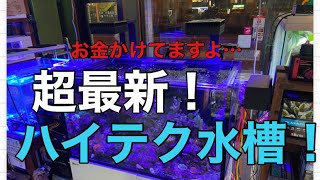 マジでやばい！！管理はアプリで！超ハイテク水槽ご紹介！