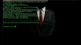 SQL server Agent installation in Linux (Ubuntu 16.04 LTS )