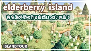 【夢訪問】有名海外勢のつくる自然いっぱいの島！【あつ森】