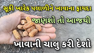 શિયાળામાં આ રીતે સૂકી ખારેક ખાશો તો આખું વર્ષ નિરોગી રહેશો || સૂકી ખારેક ના ફાયદા