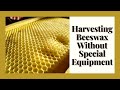 HOW TO HARVEST BEESWAX